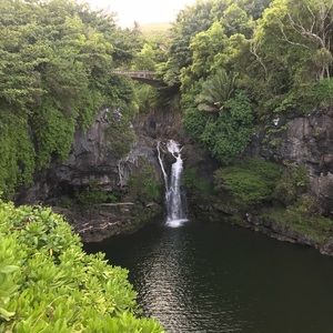 Meet your Posher, Latonya